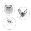 Set of sketches of cat faces in round frames in black and white.